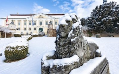 Weingut Schloss Gobelsburg