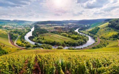 Weingut Van Volxem – Mosel