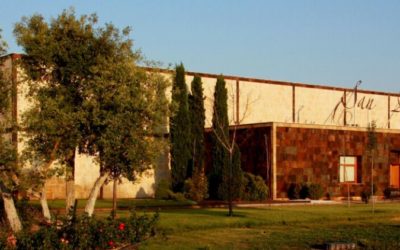 Bodegas y Viñedos San Román