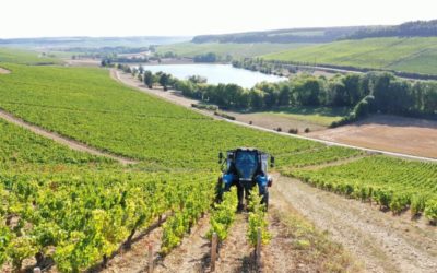 Domaine Thierry et Charles Hamelin