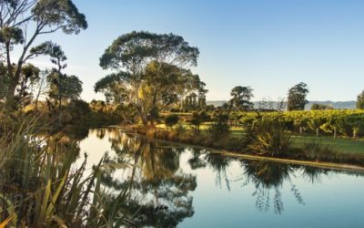 Wairau River Wines