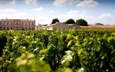 Château Branaire Ducru S.A.